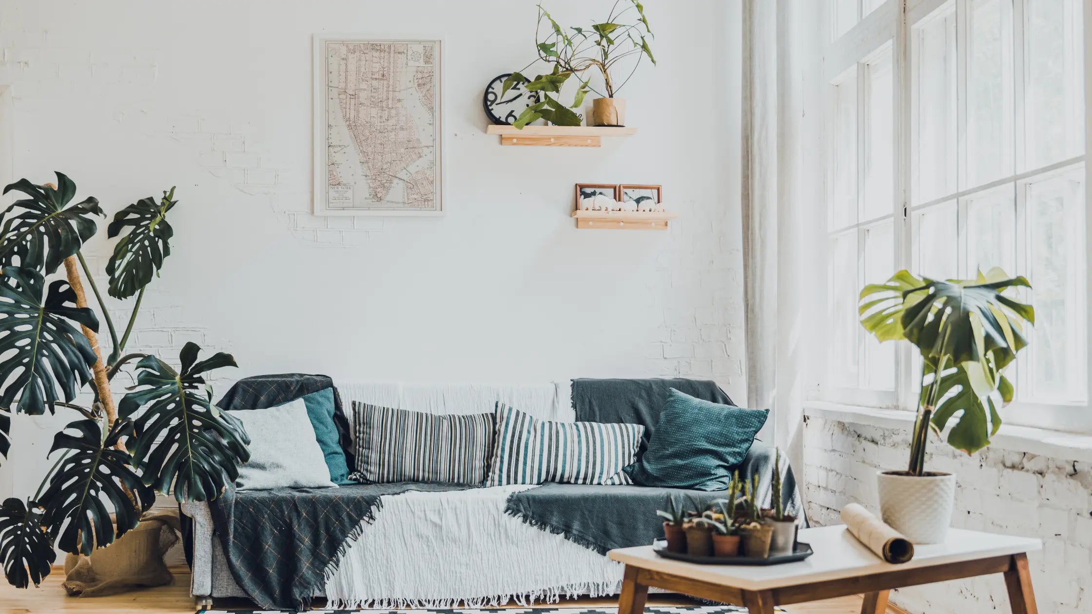 Indoor Plant Pots: A Way To Transform Your Home Decor Aesthetics - Leaf Culture