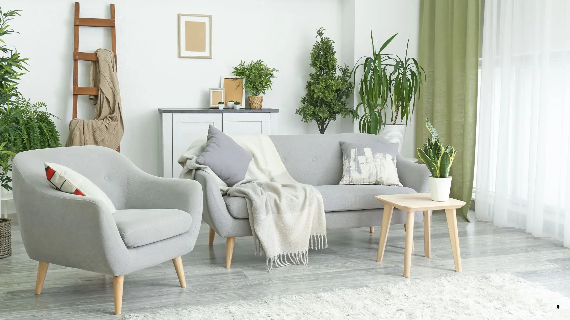 13 of the Best Houseplants That'll Thrive in Any Kitchen - Leaf Culture