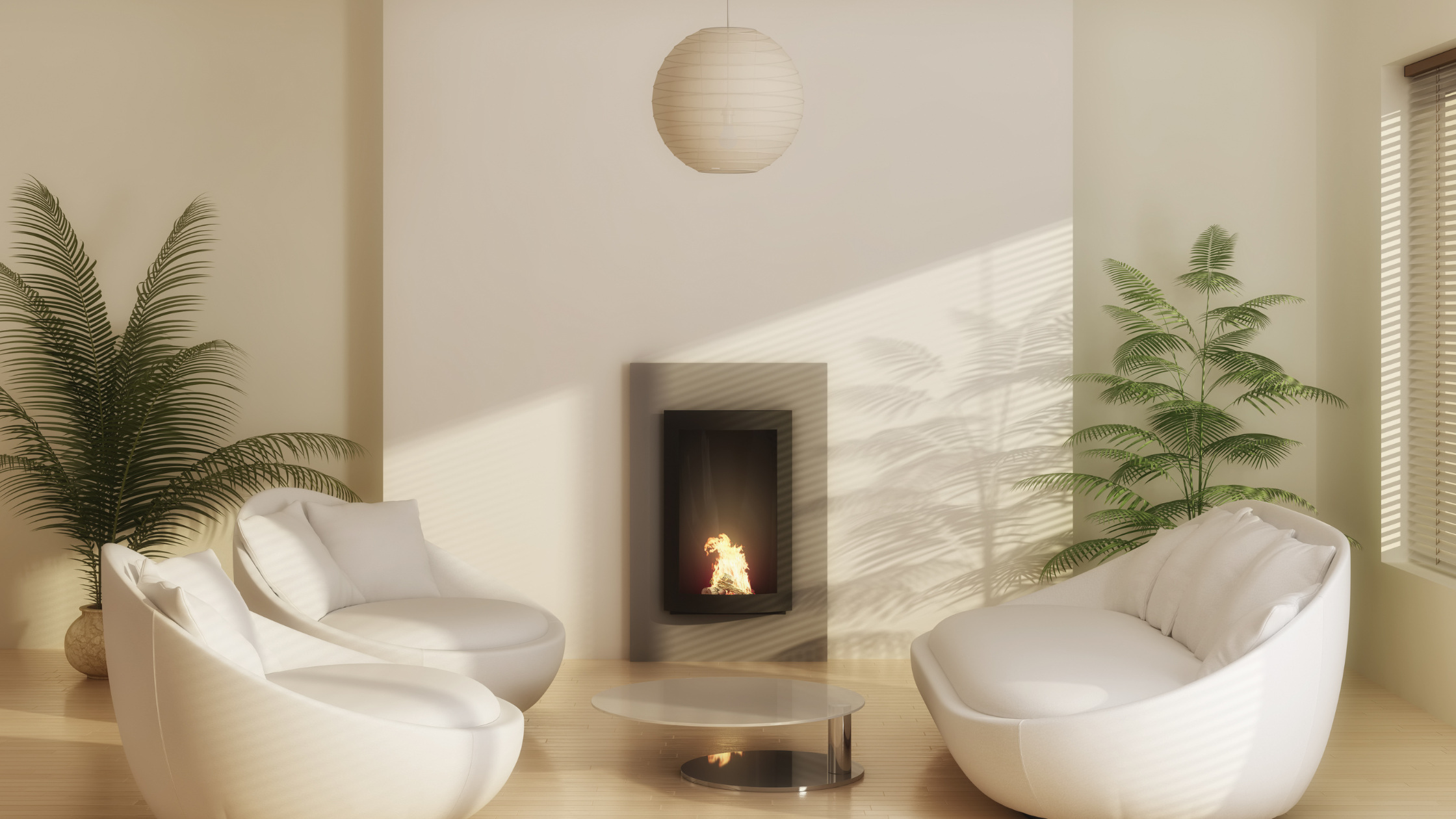 fern plants for room