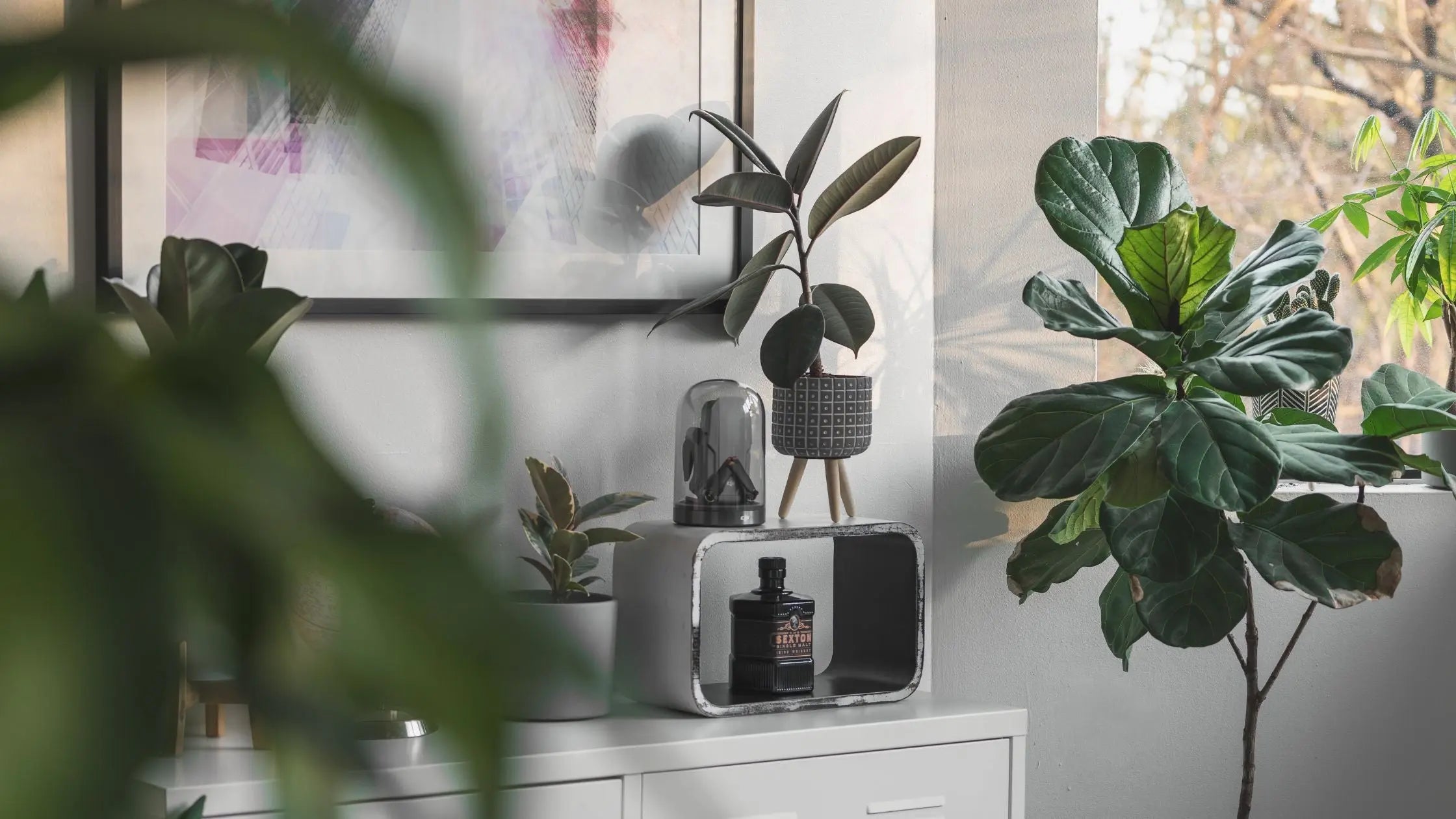 The Ultimate Guide To Planting Houseplants In Pots & Planters - Leaf Culture
