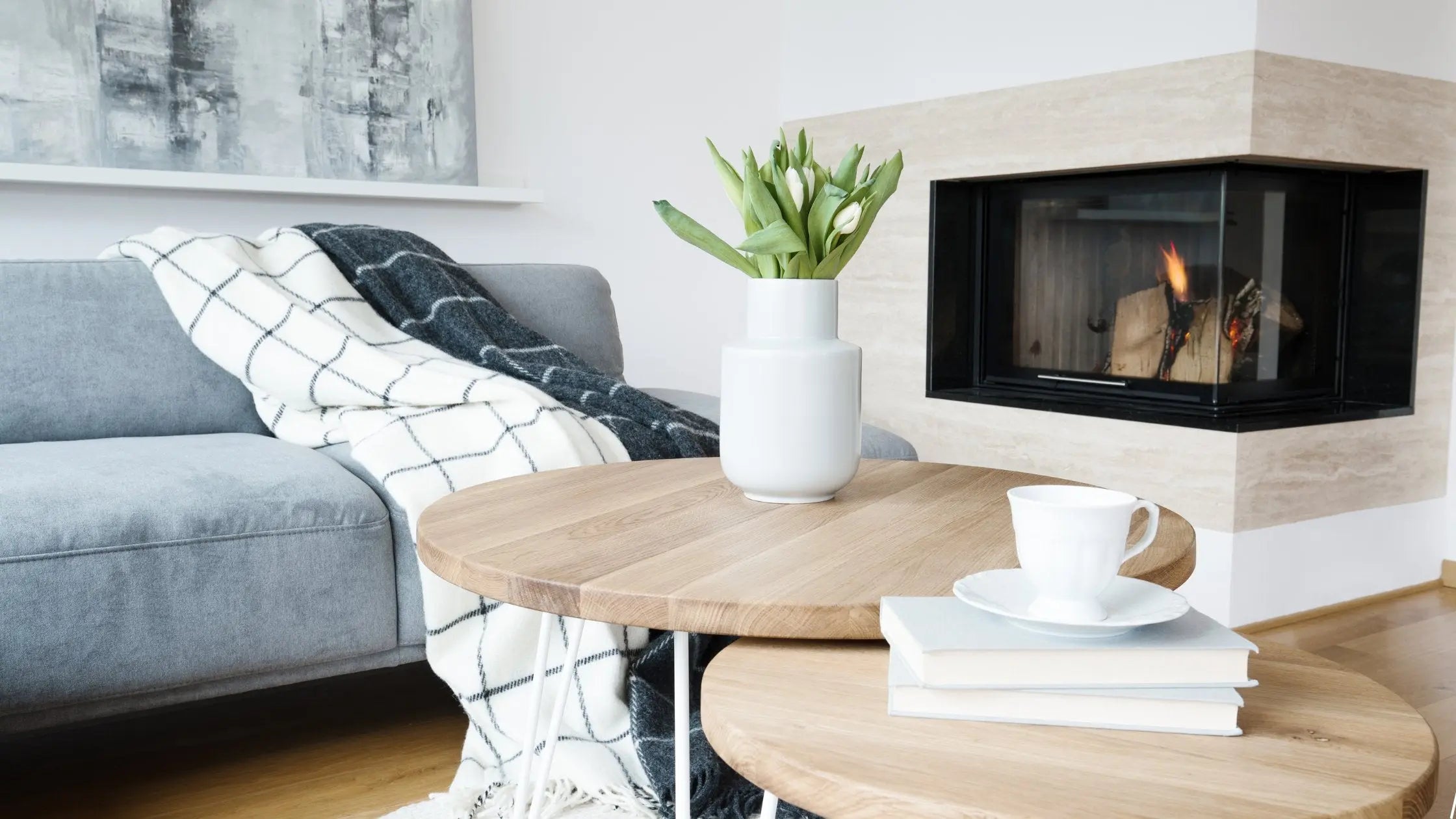 9 Velvety Houseplants To Make You Feel All Warm - Leaf Culture