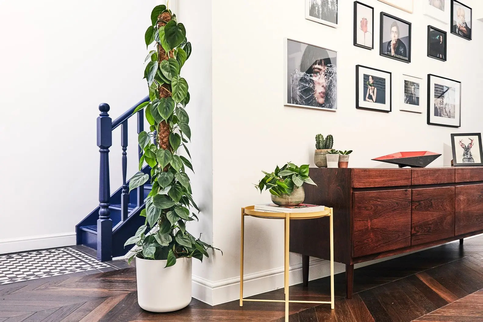 Small-Space-Big-Jungle-Styling-Houseplants-in-Tight-Spots Leaf Culture