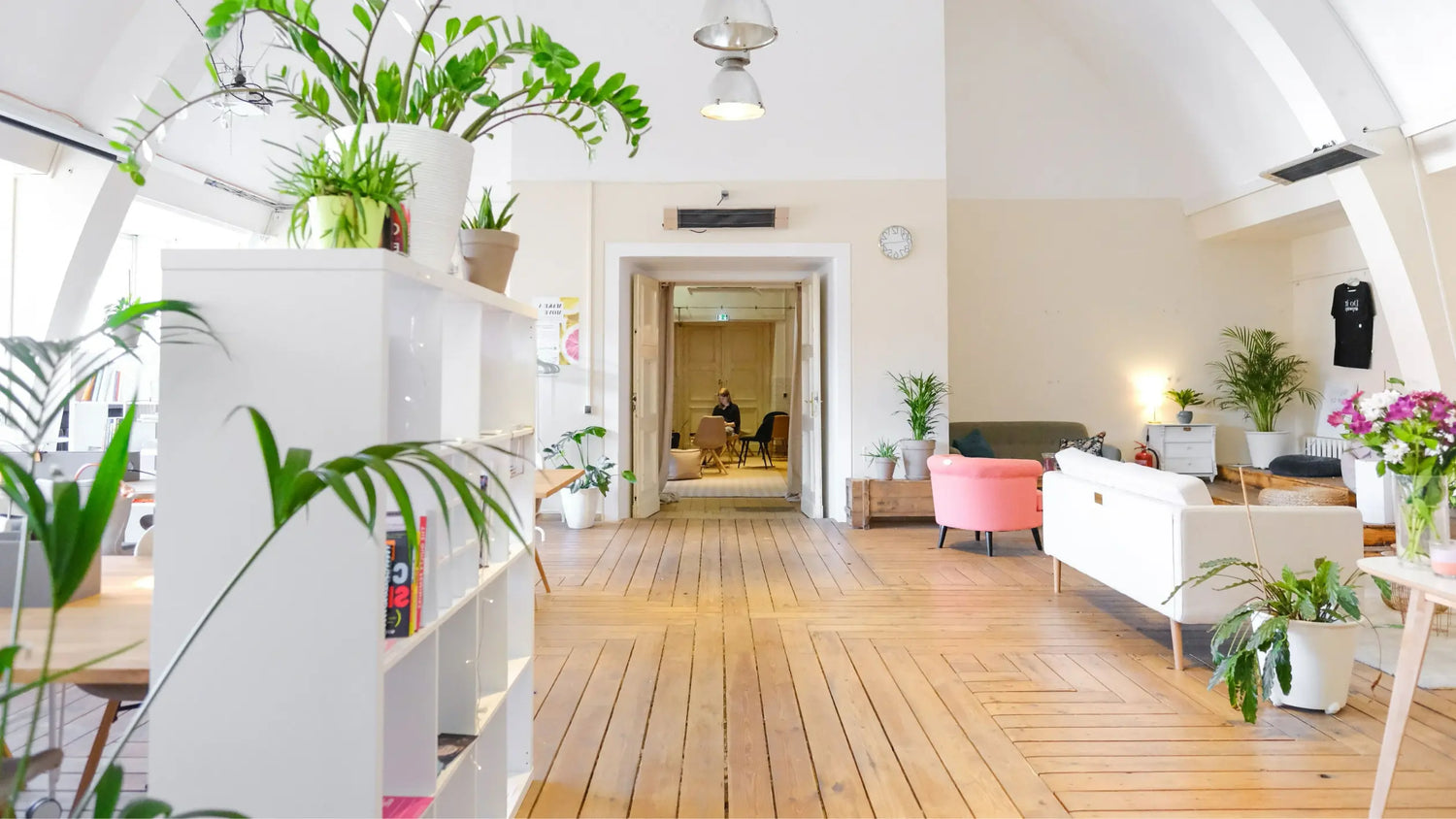 9 Best House Plants for Your Health - Leaf Culture