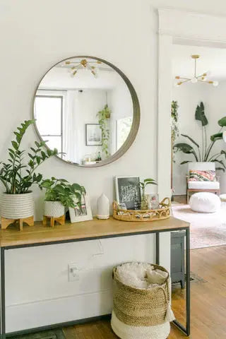 How-to-Build-a-Themed-Houseplant-Collection-Tropicals-Cacti-or-Ferns Leaf Culture
