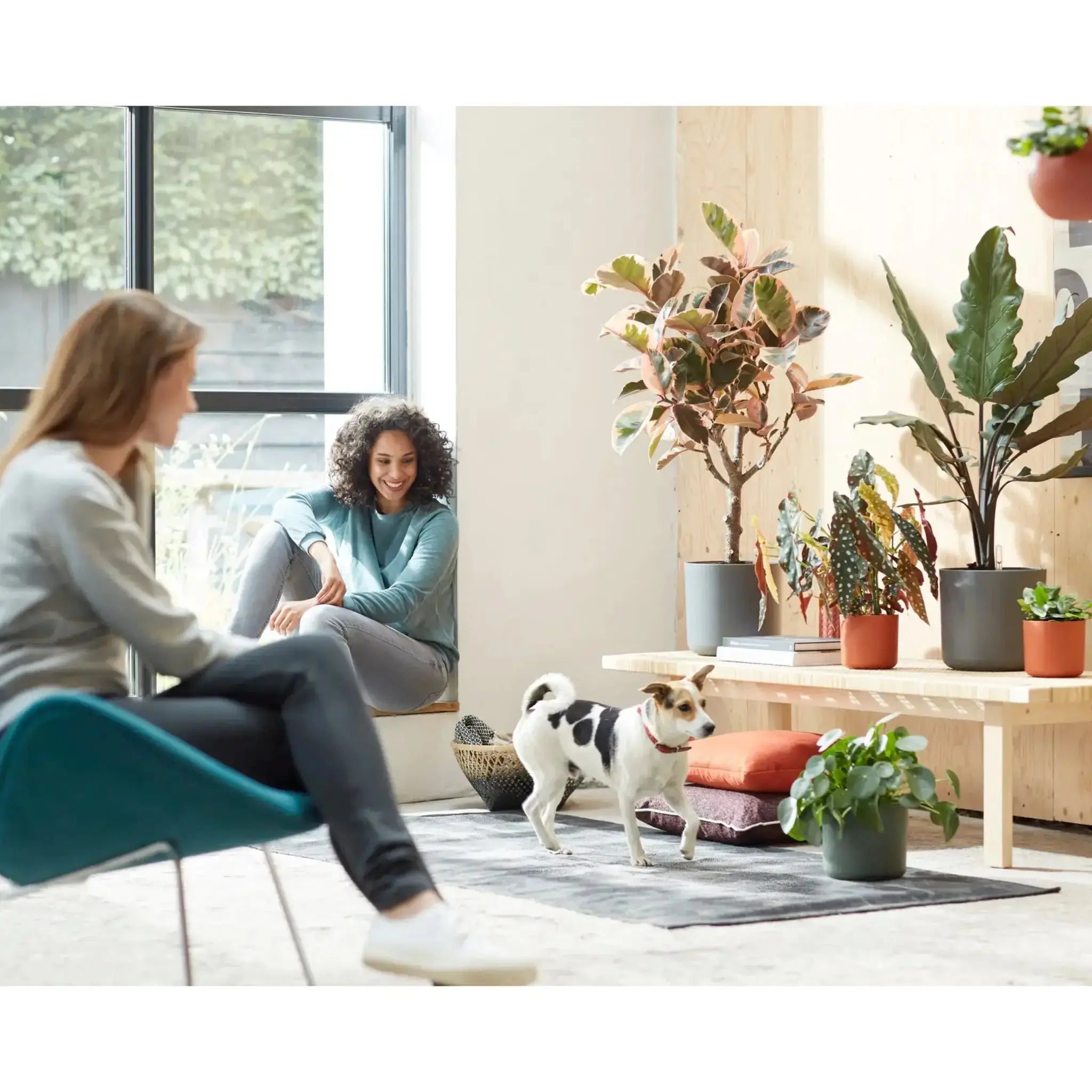 Houseplant-Trends-Interior-Designers-Are-Loving-Right-Now Leaf Culture