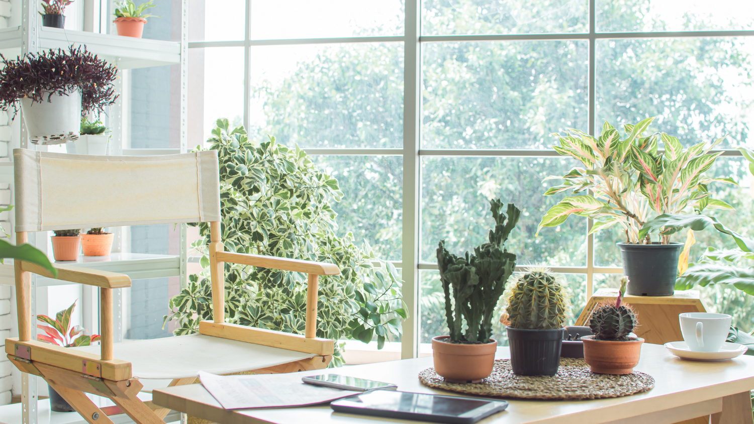 10 Essential Tips for Growing Healthy Interior Plants!