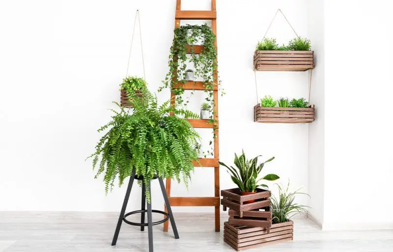 Creating-a-Plant-Shelfie-Ideas-Inspiration Leaf Culture