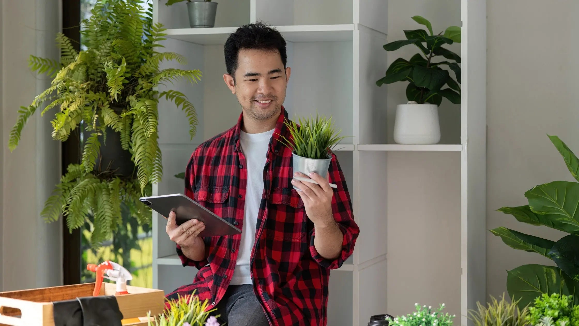 Water Ratio for Plant Health