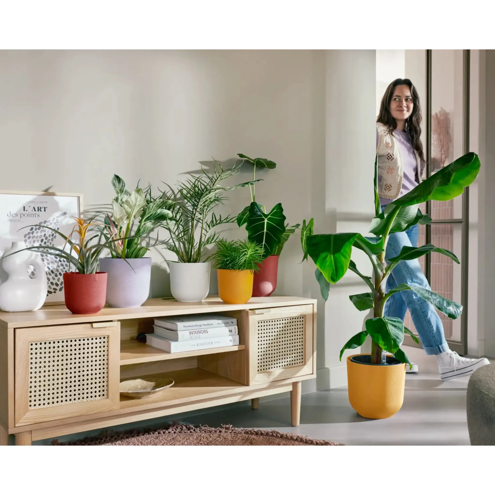 The-Rise-of-the-Rare-Houseplant-Craze-Is-It-Worth-It Leaf Culture