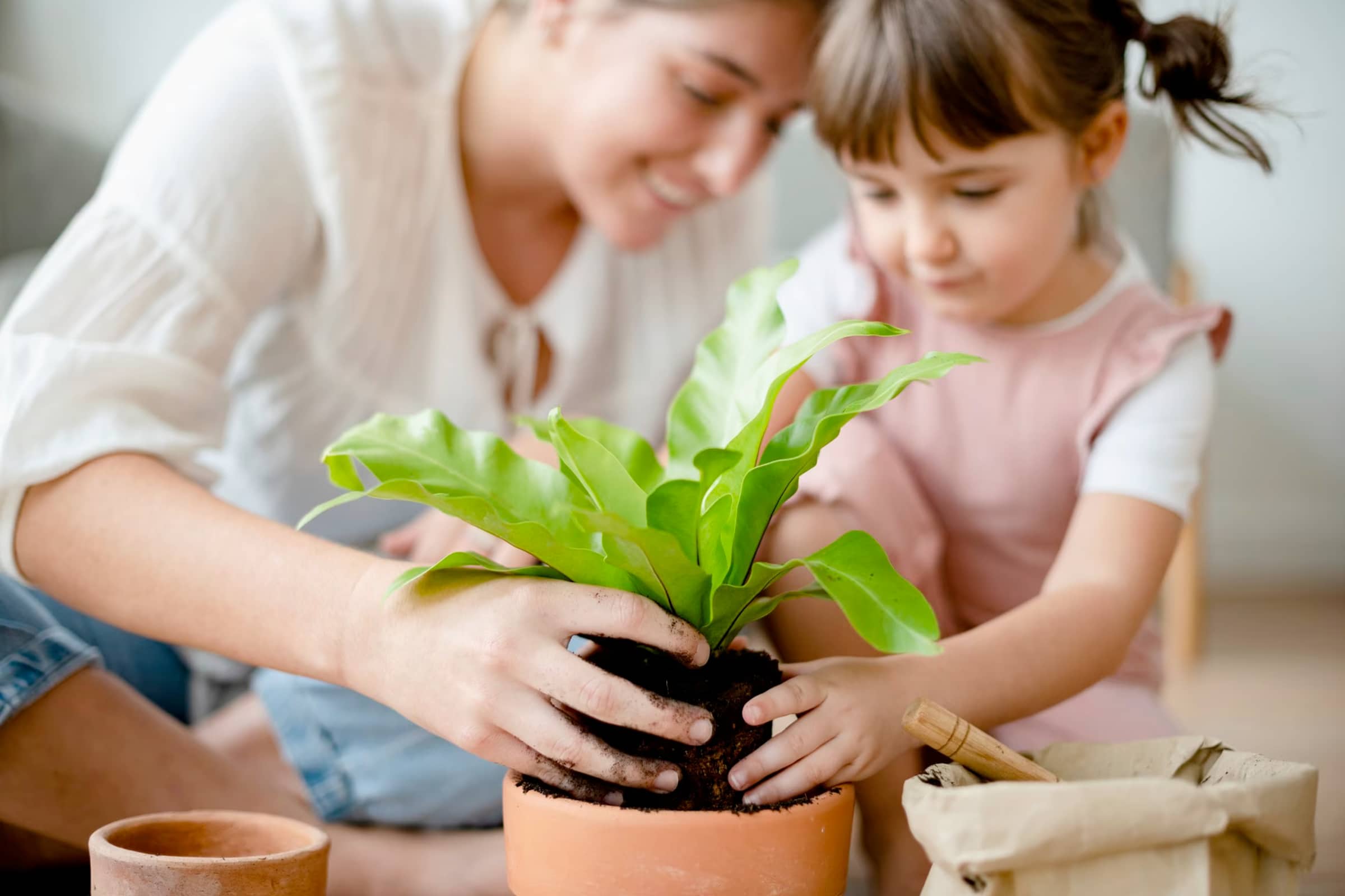 How to Teach Your Kids to Care for Their Own House Plants - Leaf Culture