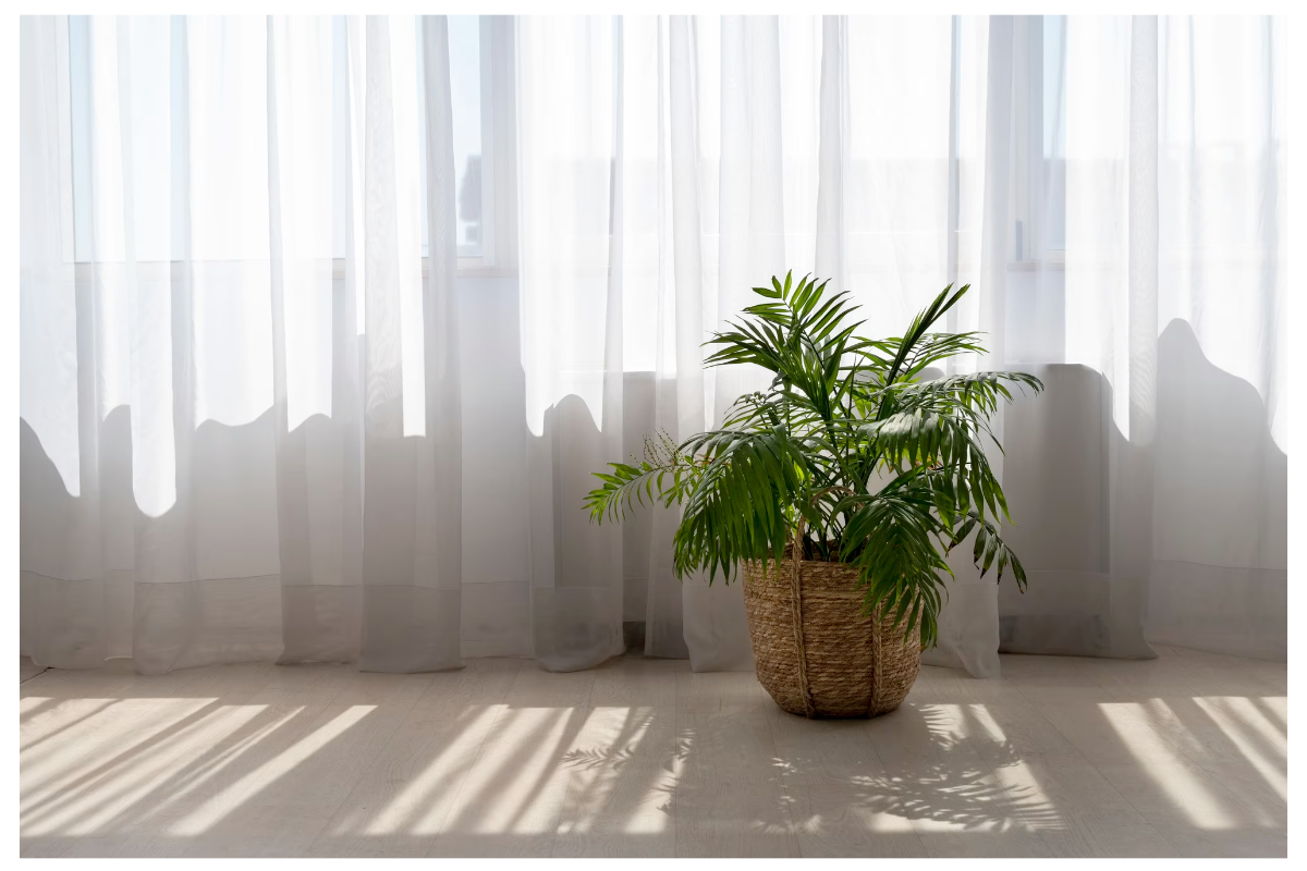 Houseplants just LOVE the Goldilock zone... - Leaf Culture