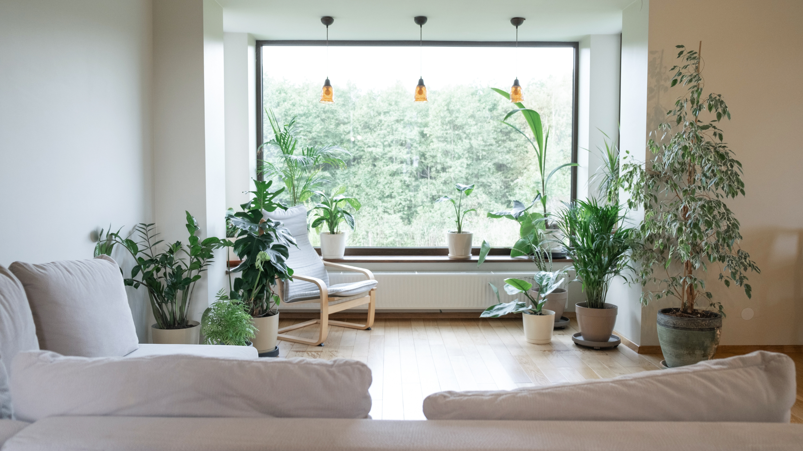 Elevate Your Space: A Guide to Hanging Plant Pots for Indoor Gardens