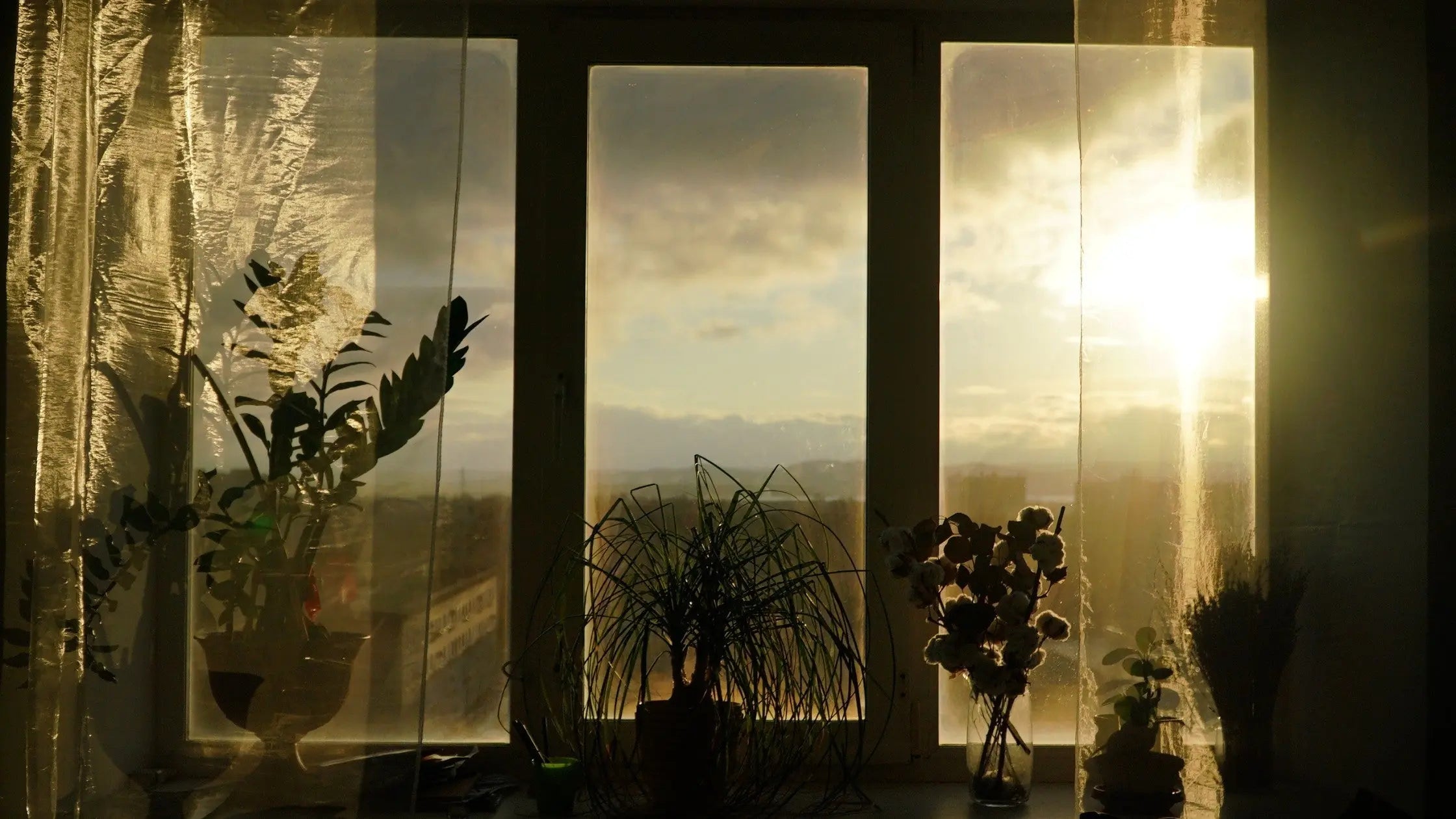 indoor lightning on plants