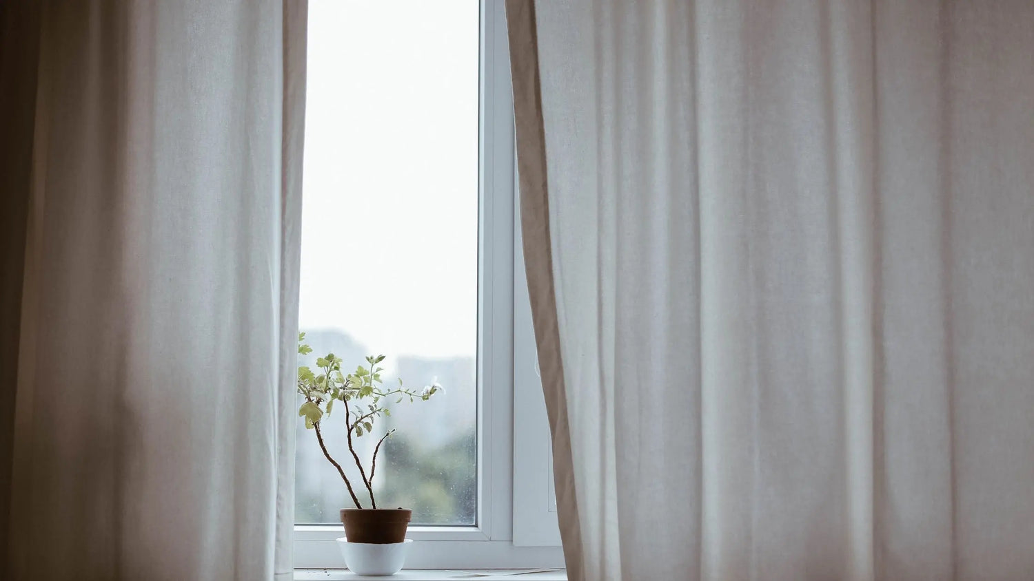 indoor plants lighting