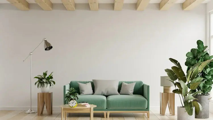 How-to-Style-Houseplants-Like-an-Interior-Designer Leaf Culture