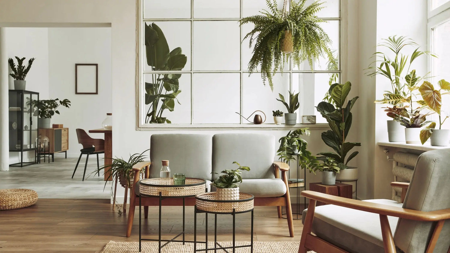 6-House-Plants-for-a-Scandinavian-Interior Leaf Culture