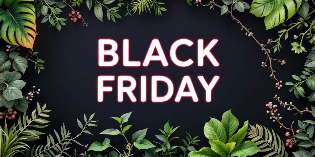 Black Friday Jungle Deals