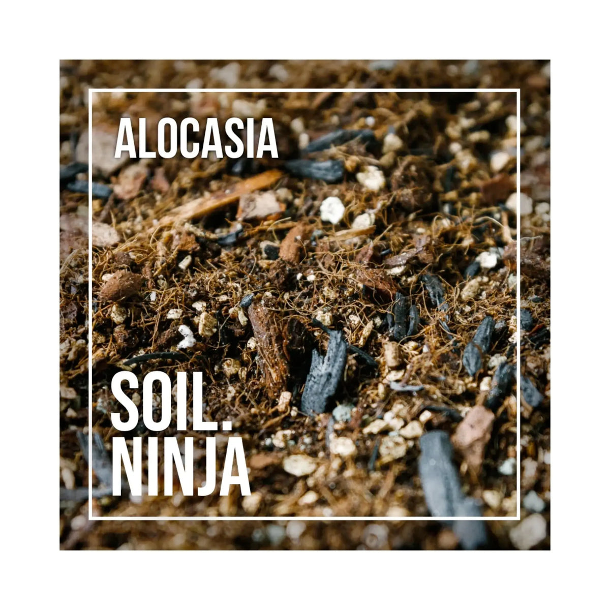 Alocasia Soil Mix | Aroid Potting Mix | Soil Ninja