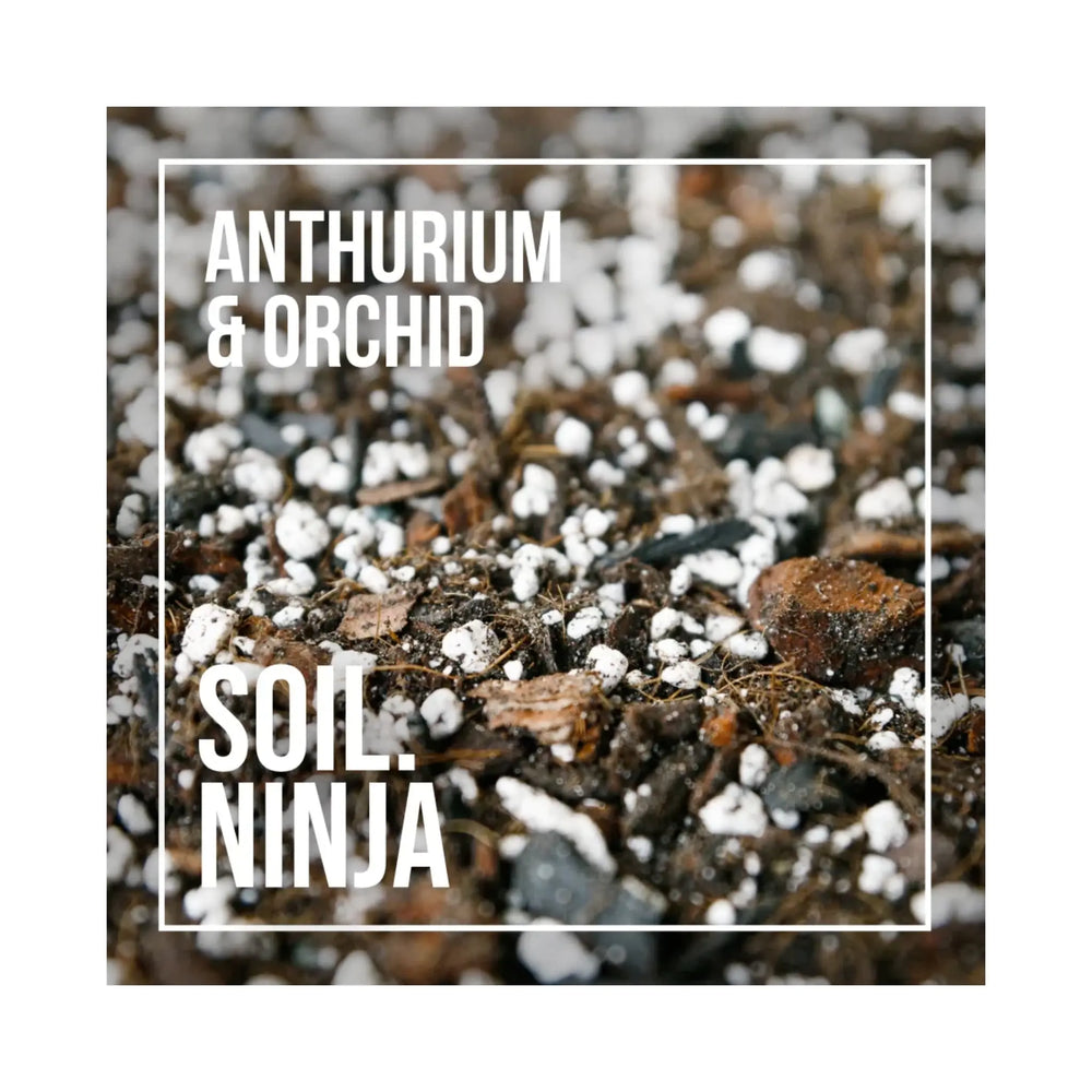Anthurium & Orchid Soil Mix | Premium Epiphytic Potting Blend | Soil Ninja_1_main