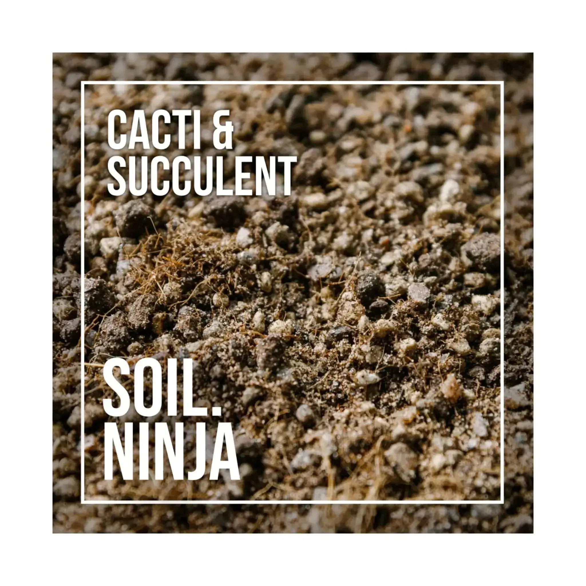 Cactus & Succulent Soil Mix | Fast-Draining Potting Mix | Soil Ninja