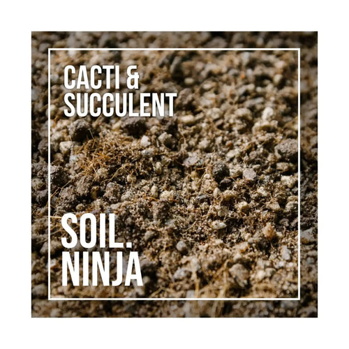 Cactus & Succulent Soil Mix | Premium Fast-Draining Blend | Soil Ninja