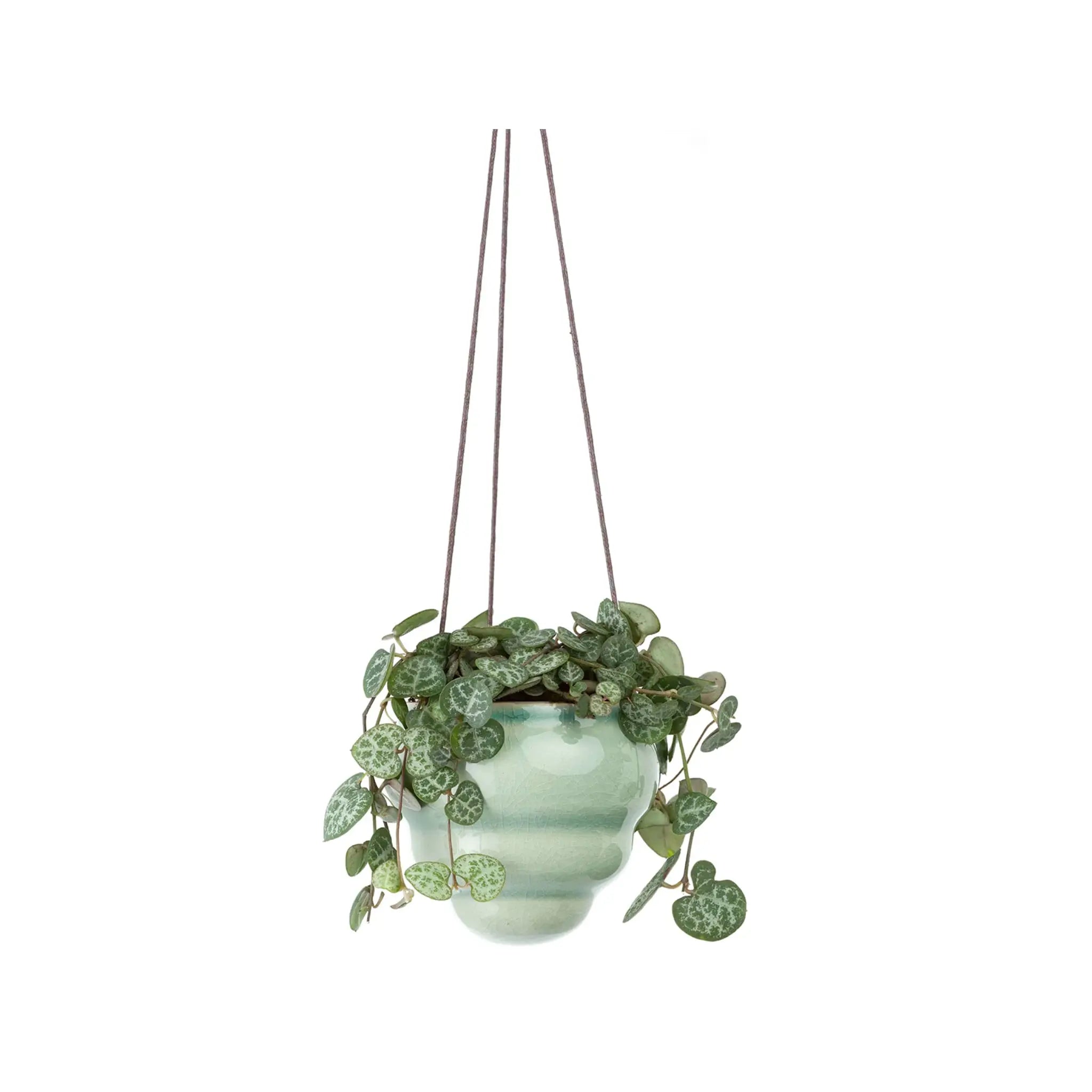 Bombini Hanging Pot Trio - Gift Boxed Burgon &amp; Ball