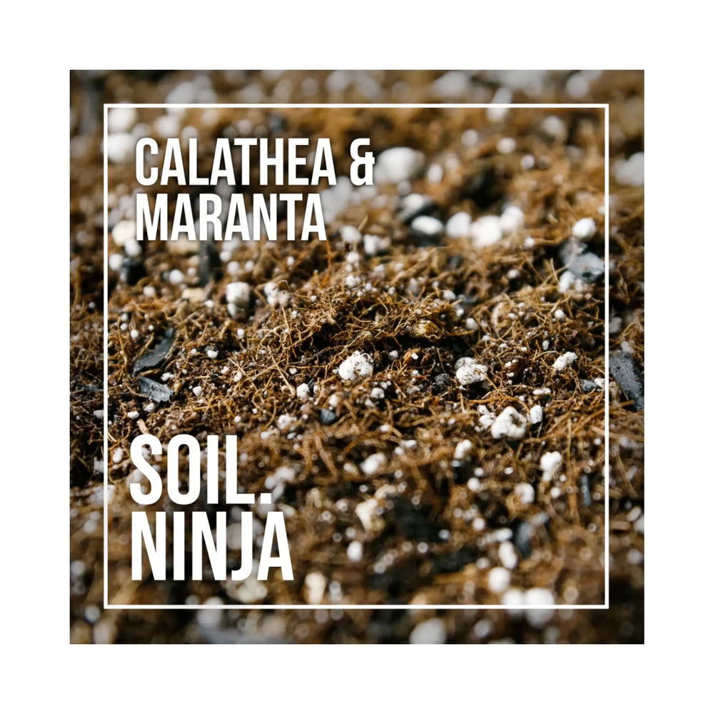 Calathea Soil Mix | Premium Maranta Prayer Plant Blend | Soil Ninja_1_main