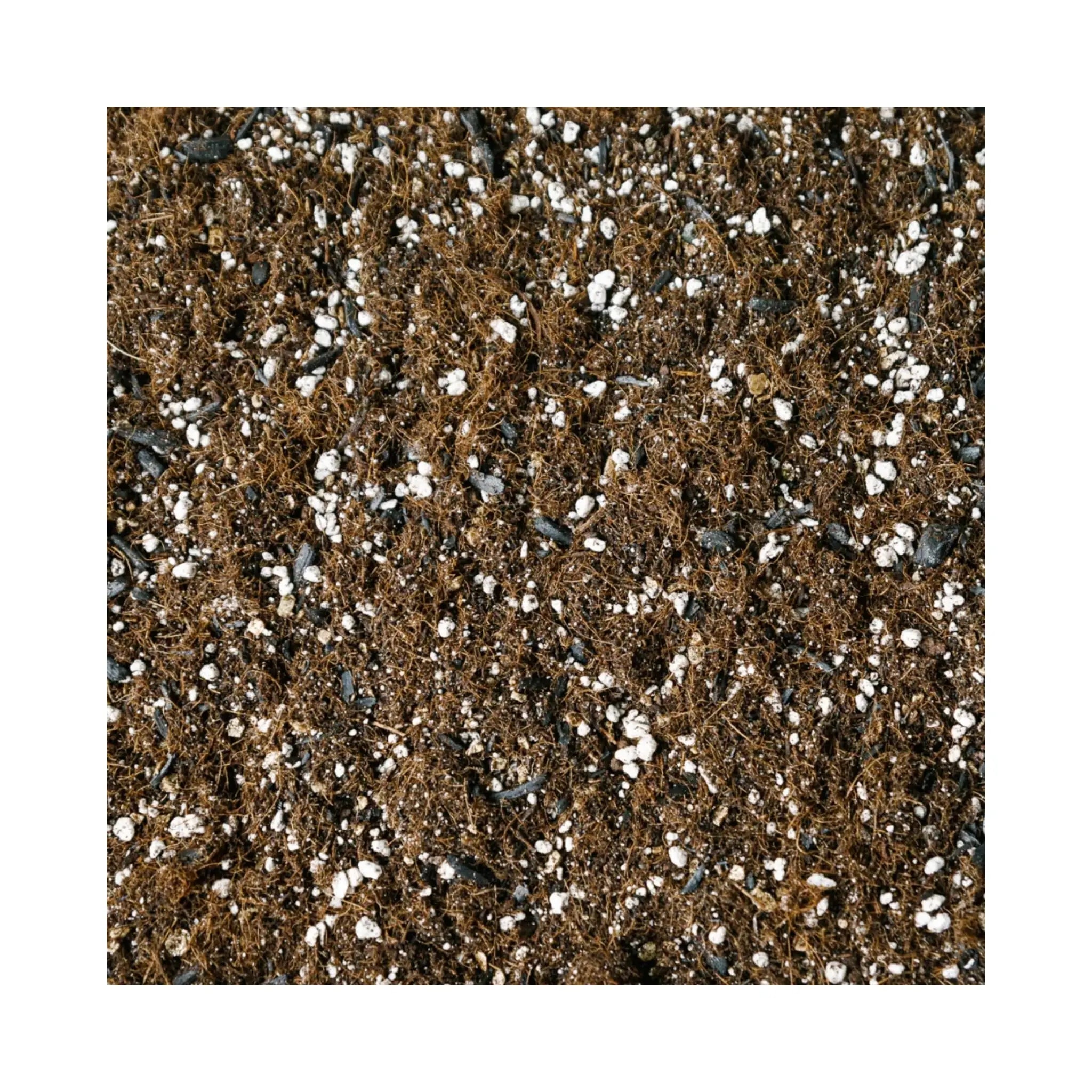 Calathea Soil Mix | Prayer Plant Potting Mix | Soil Ninja