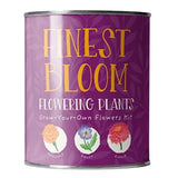 Eco Grow Your Own Flowers Gardening Kit Plant Gift Co