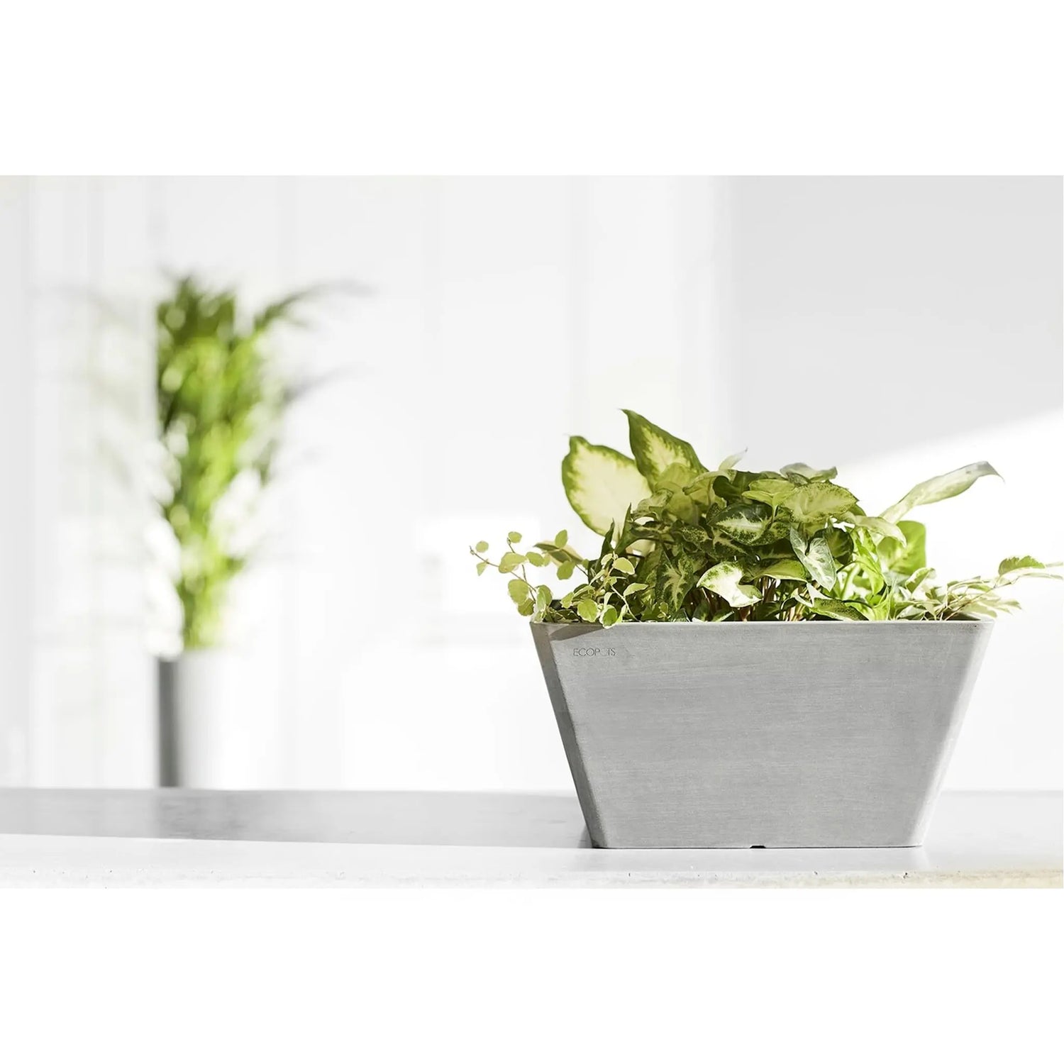 Ecopots Berlin Plant Pot 30cm - Grey Ecopots