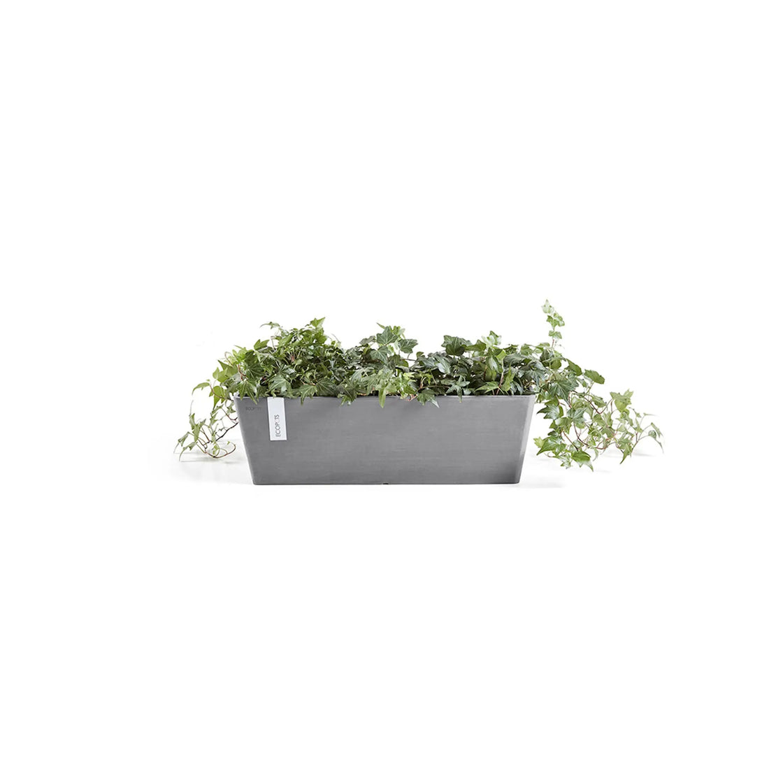 Simple and Attractive Grey Plant Pots - Leaf Culture