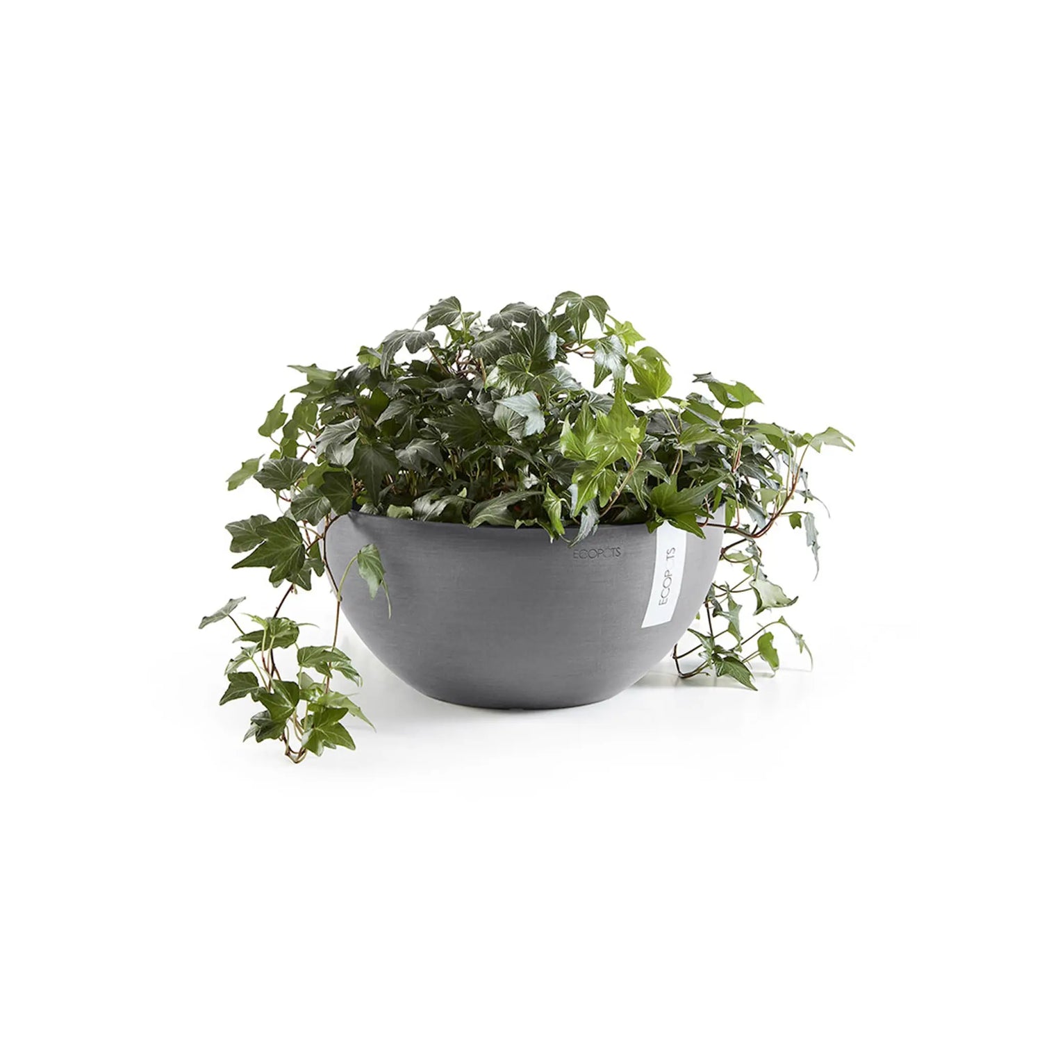 Ecopots Brussels Plant Pot  - Grey Ecopots