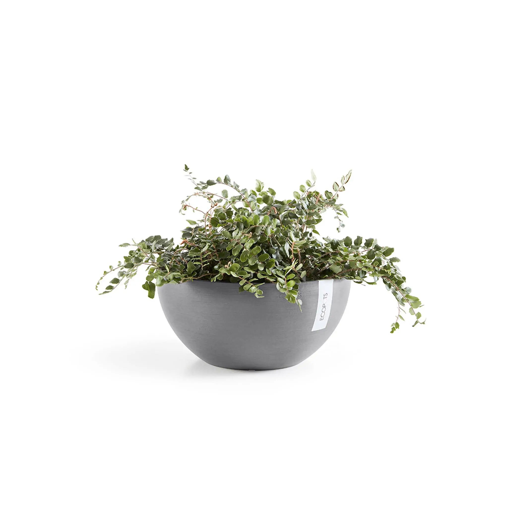 Ecopots Brussels Plant Pot  - Grey Ecopots