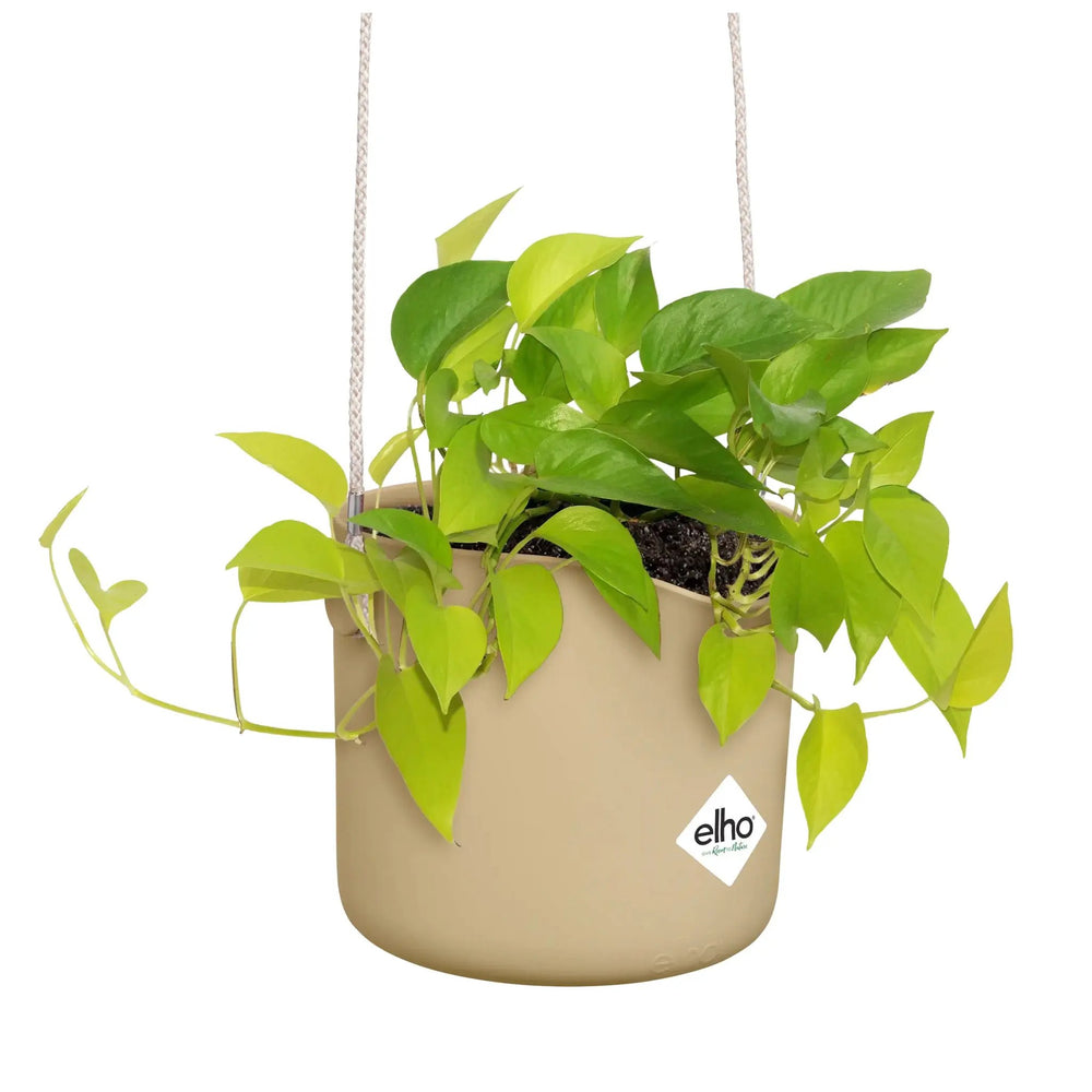 Elho B For Swing Pot_3_main