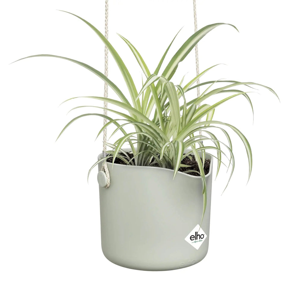 Elho B For Swing Pot_4_main