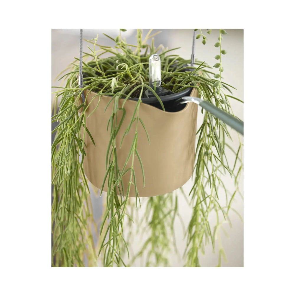 Elho B For Swing Pot_8_main