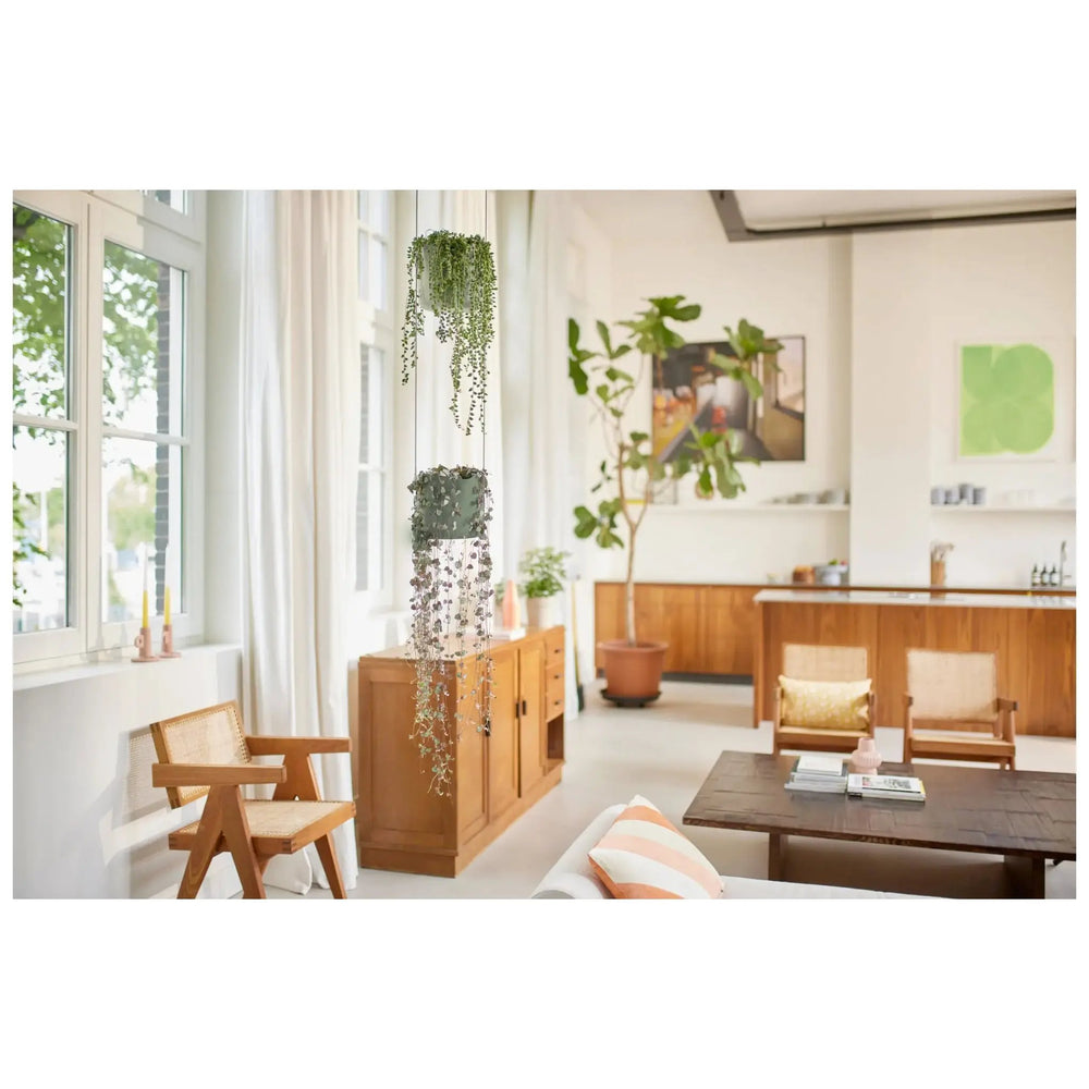 Elho B For Swing Pot_9_main