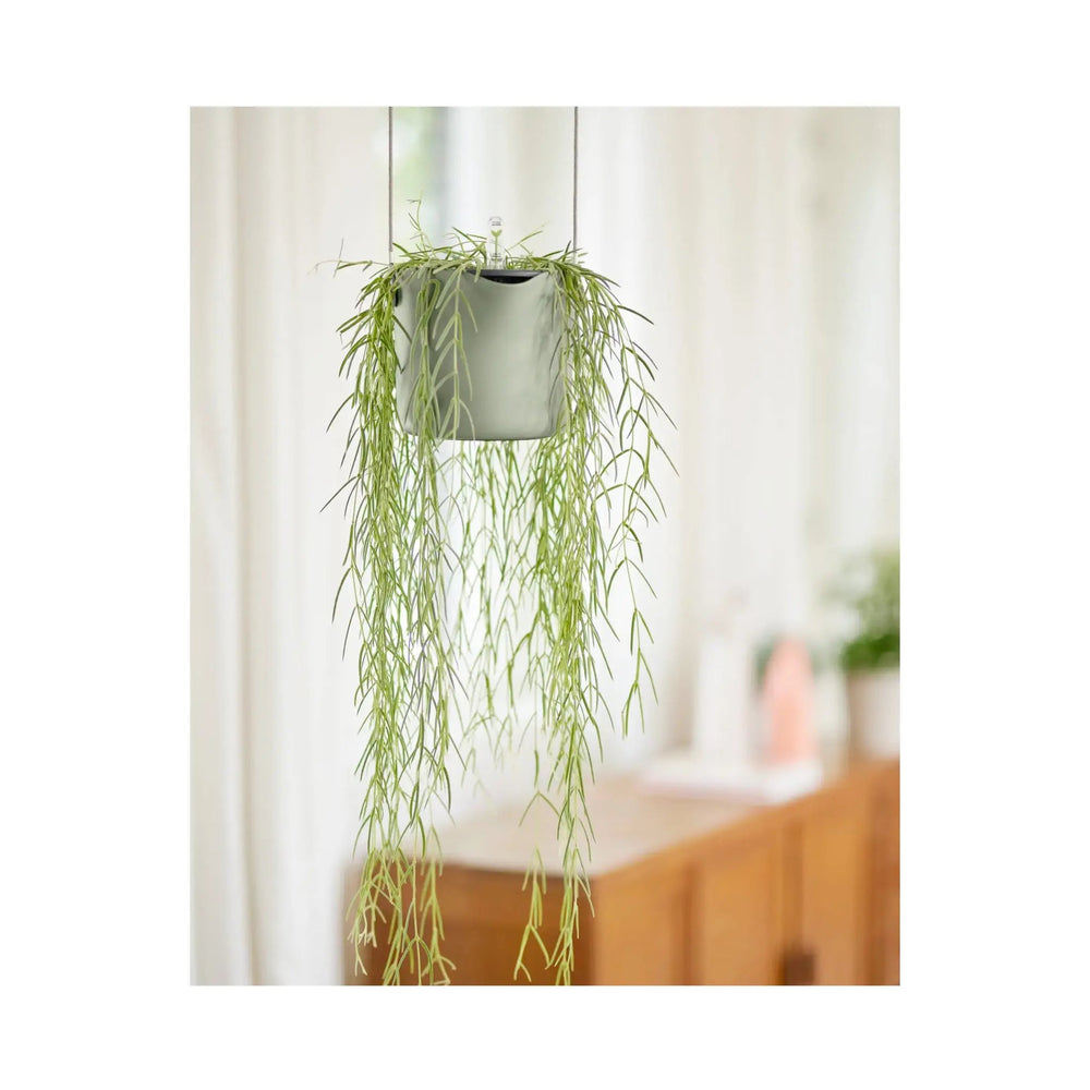 Elho B For Swing Pot_11_main