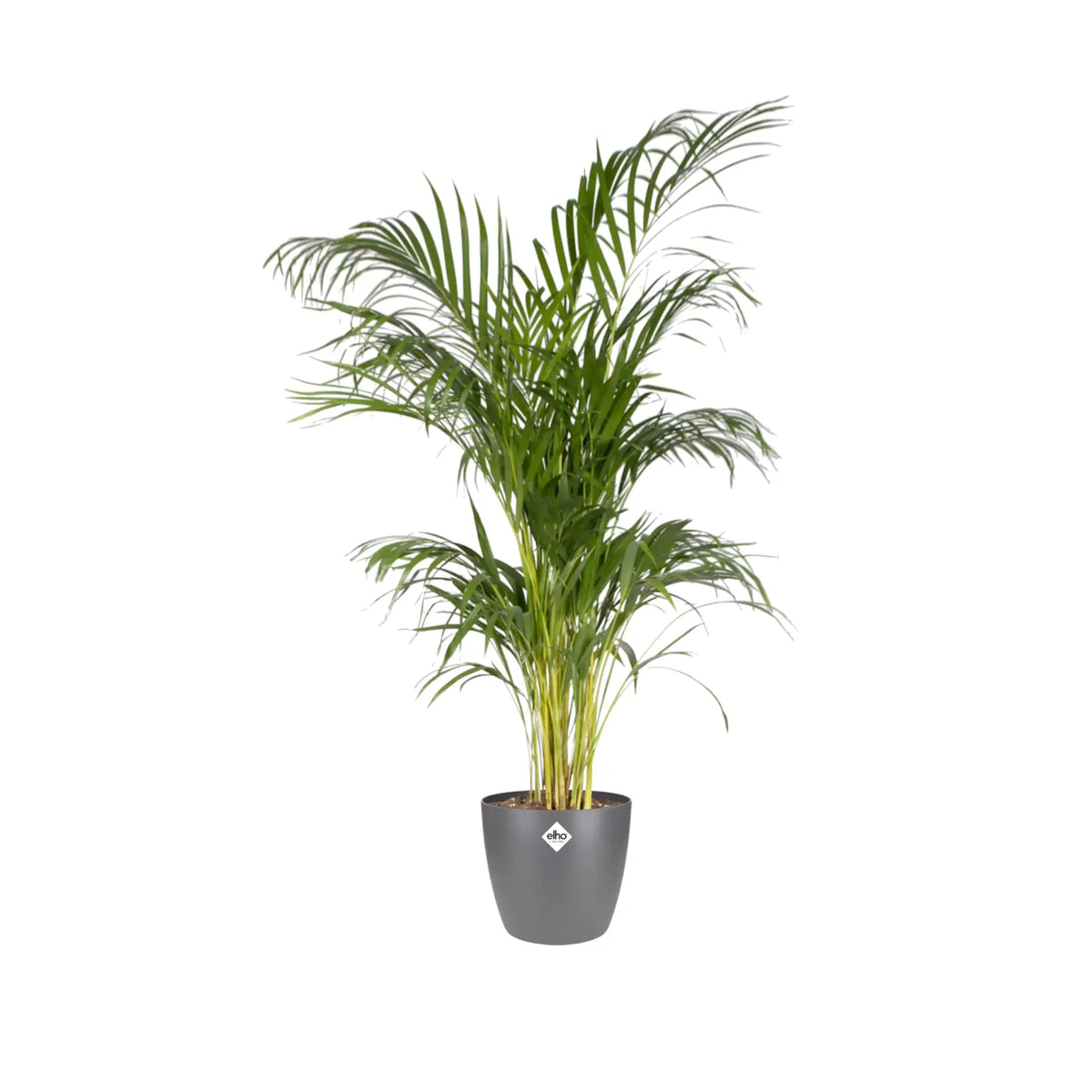 Elho Brussels Round Plant Pot Elho