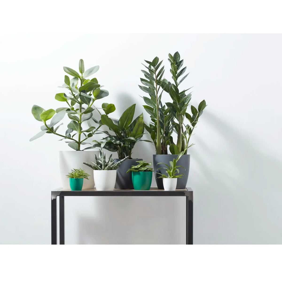 Elho Brussels Round Plant Pot Elho
