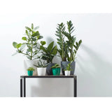 Elho Brussels Round Plant Pot Elho