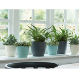 Elho Brussels Round Plant Pot Elho