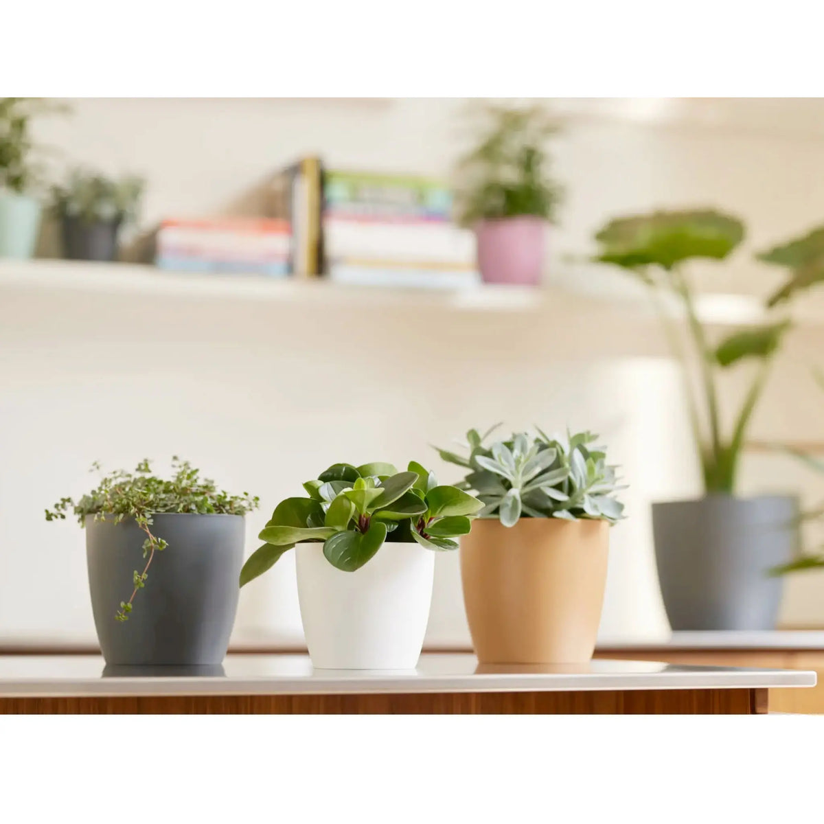 Elho Brussels Round Plant Pot Elho
