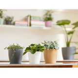 Elho Brussels Round Plant Pot Elho