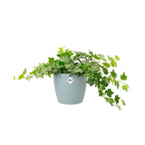 Elho Brussels Round Plant Pot Elho