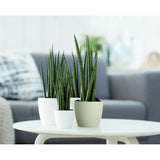 Elho Brussels Round Plant Pot Elho