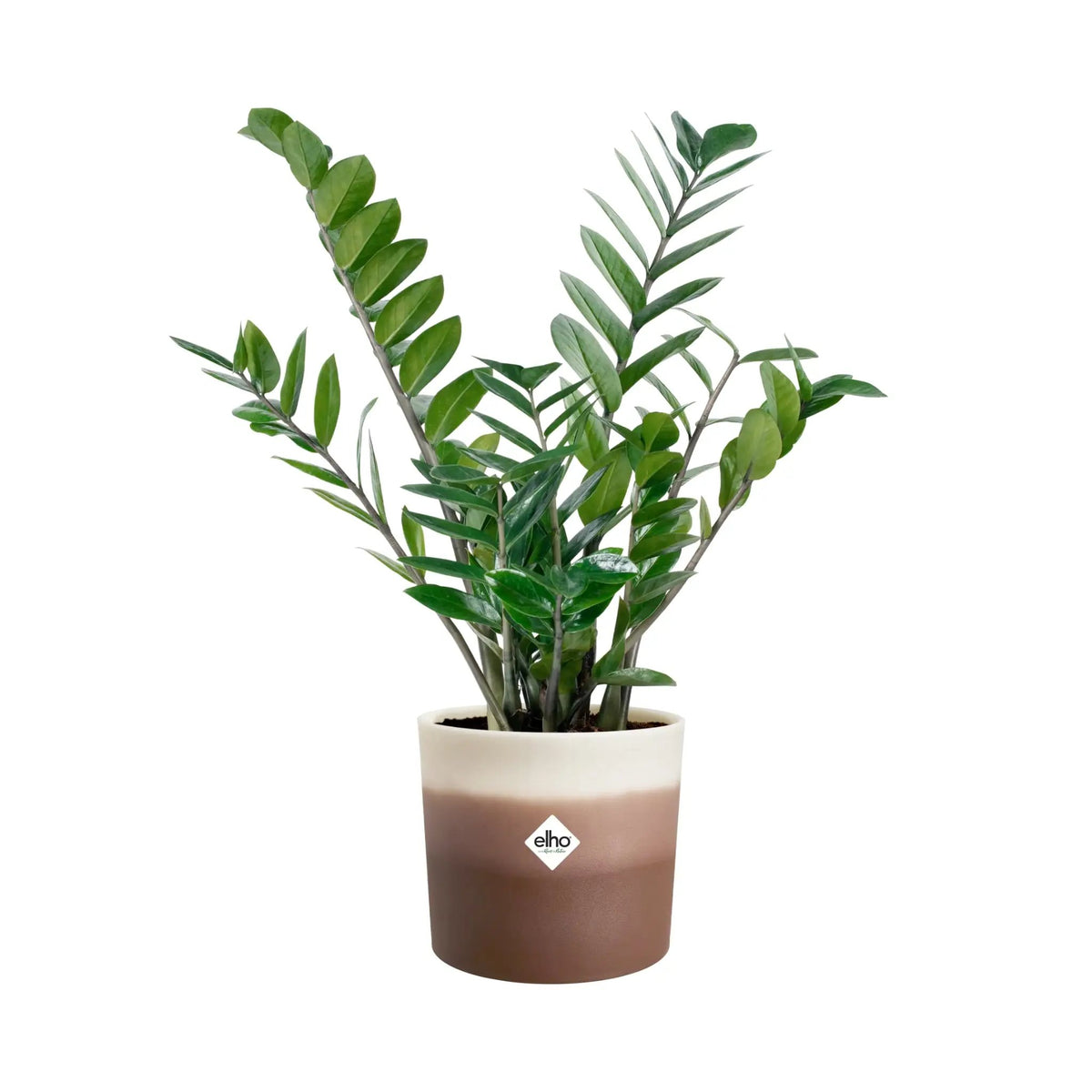 Elho Colour Gradient Pot Elho