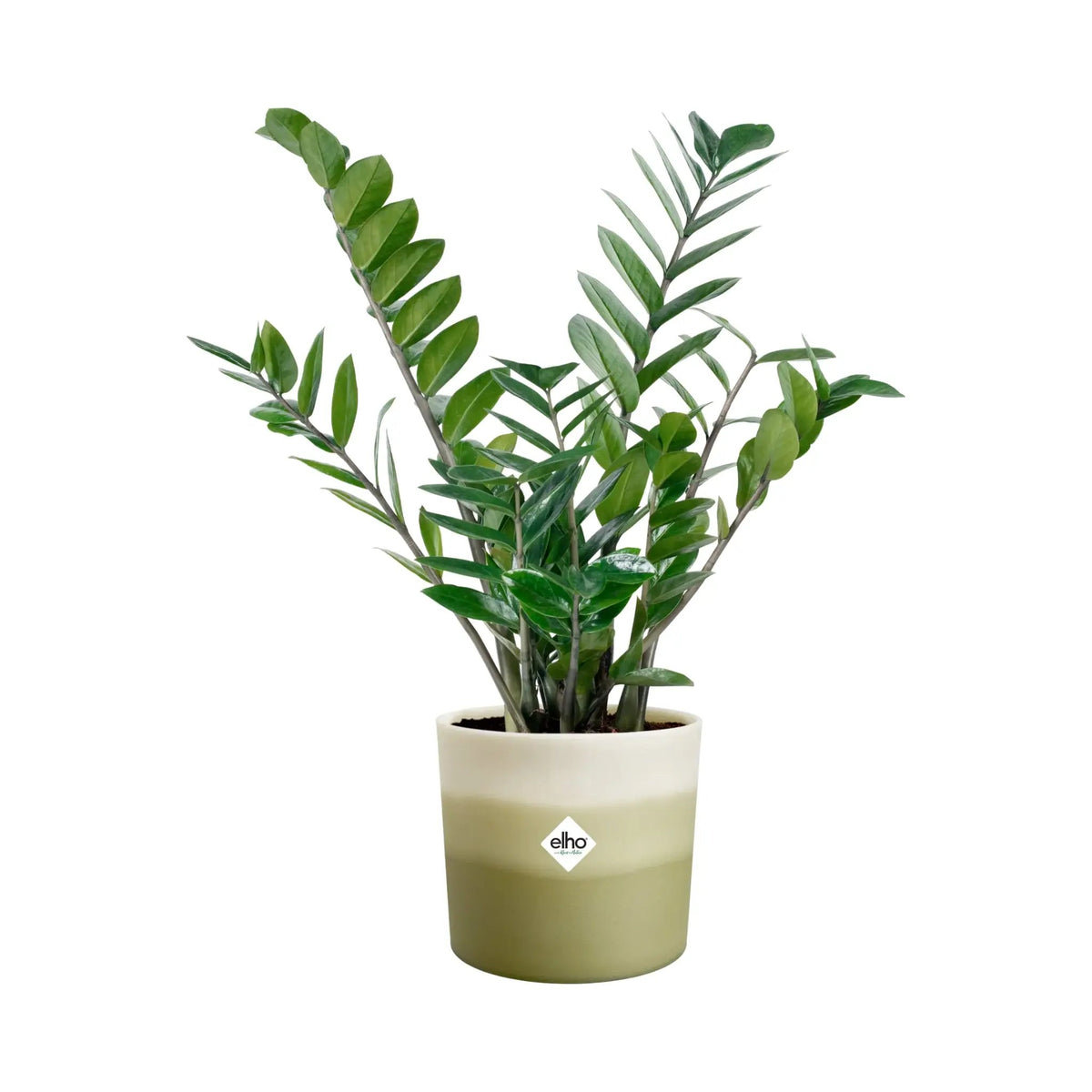 Elho Colour Gradient Pot Elho