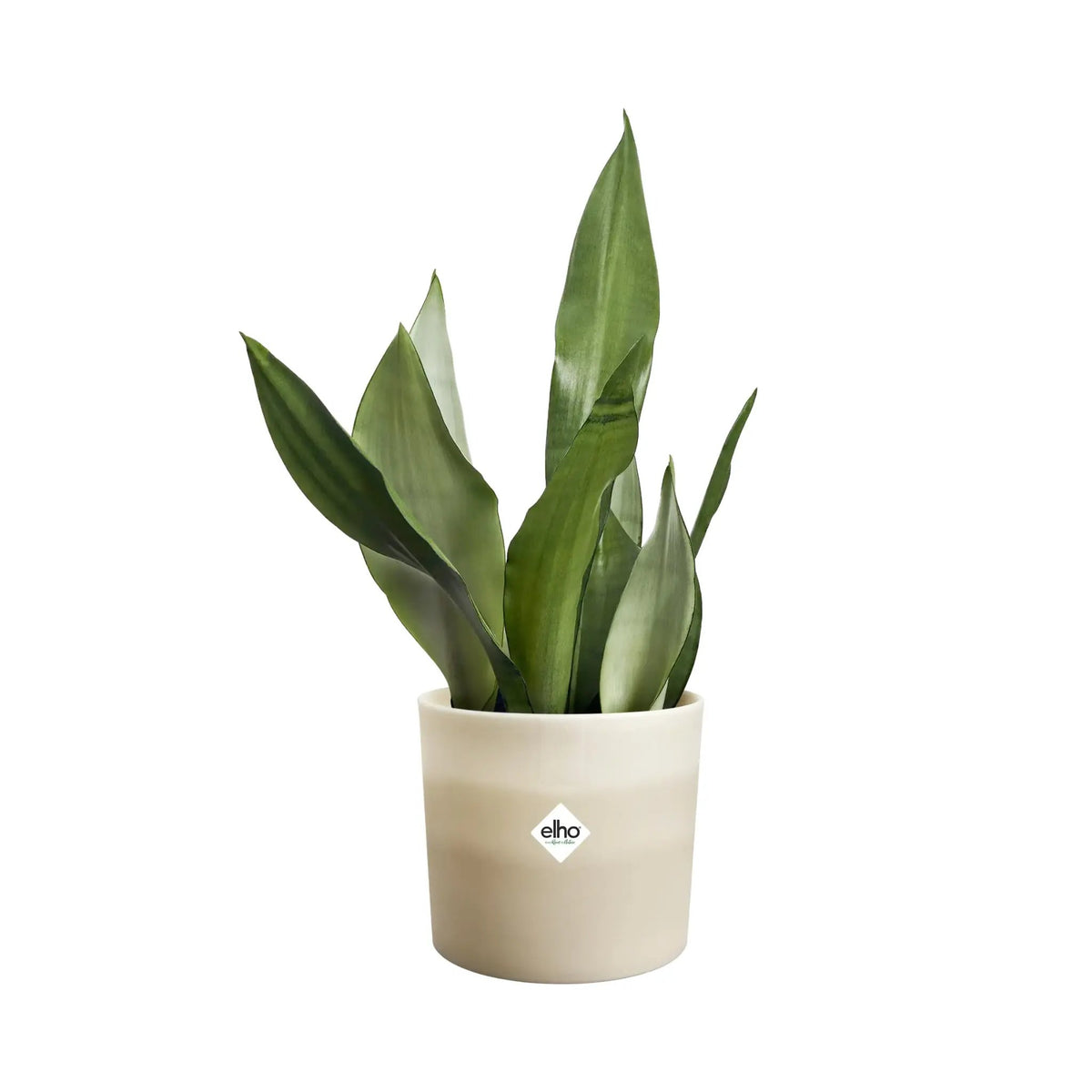 Elho Colour Gradient Pot Elho