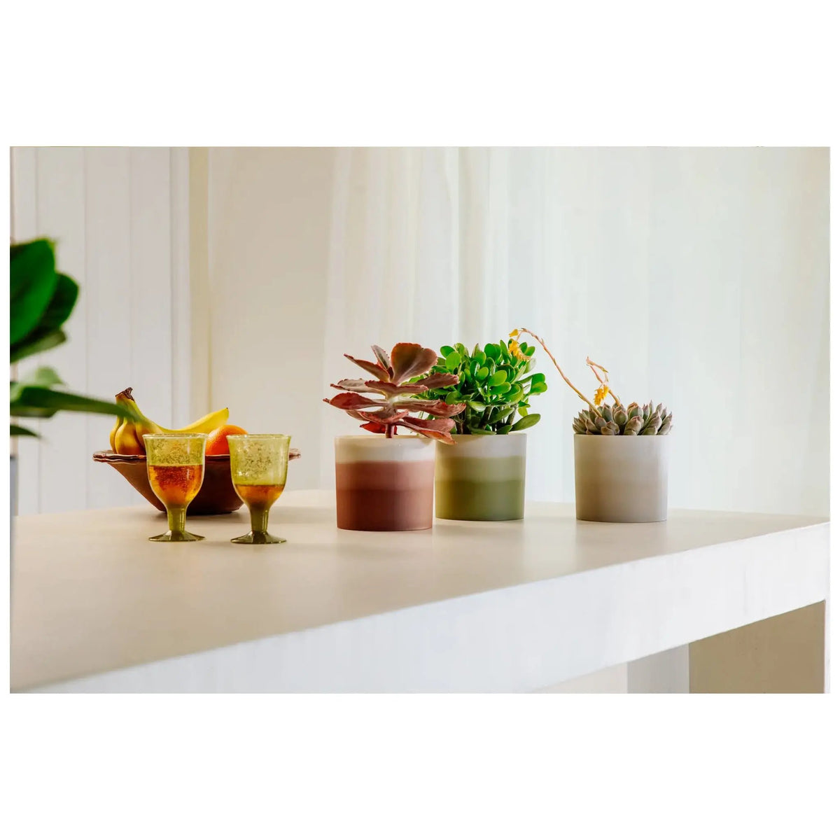 Elho Colour Gradient Pot Elho